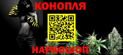 прущие грибы Кингисепп