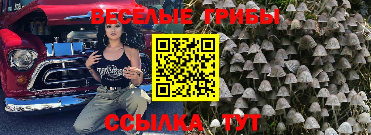Галлюциногенные грибы мухоморы Кстово