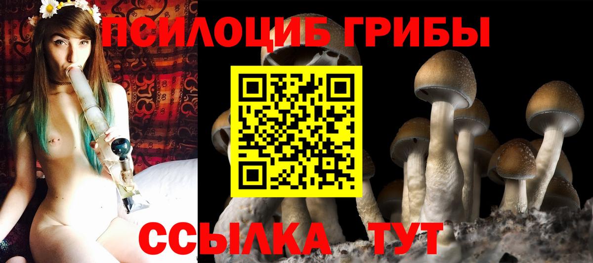 Галлюциногенные грибы Magic Shrooms  Вход с VPN  купить наркоту  Кстово 